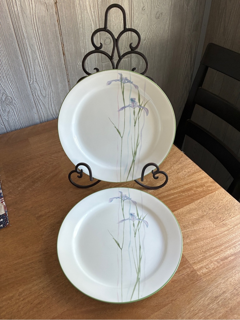 Corelle Impressions 10-1/4-Inch Dinner Plate, Shadow Iris set of 2